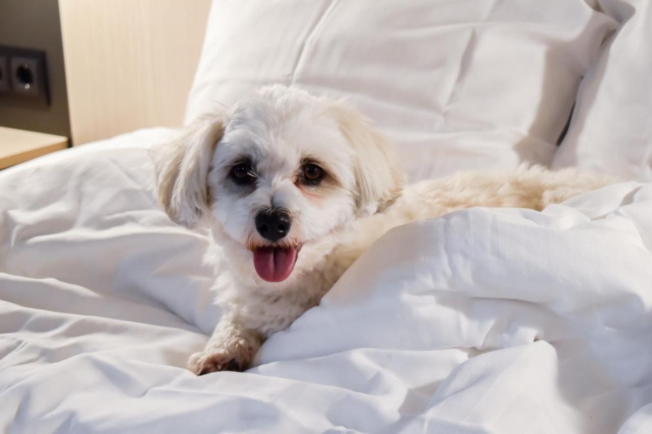 Good Morning Moelndal Hotel Ngoại thất bức ảnh